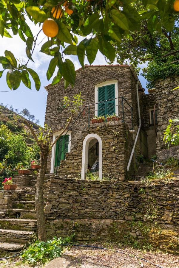 Villa Smith Vernazza Ngoại thất bức ảnh